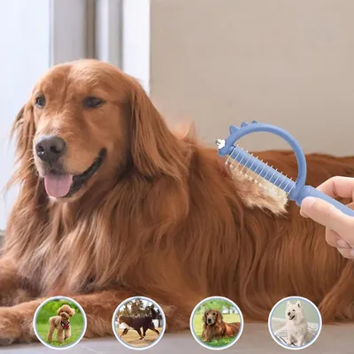 Zoomtopia Peigne à nœuds pour animaux de compagnie