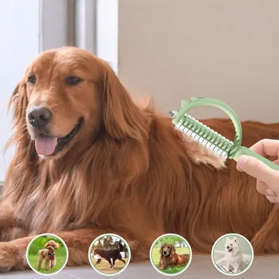 Zoomtopia Peigne à nœuds pour animaux de compagnie