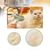 Zoomtopia Brosse de toilettage à vapeur pour chat avec spray antistatique