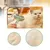 Zoomtopia Brosse de toilettage à vapeur pour chat avec spray antistatique