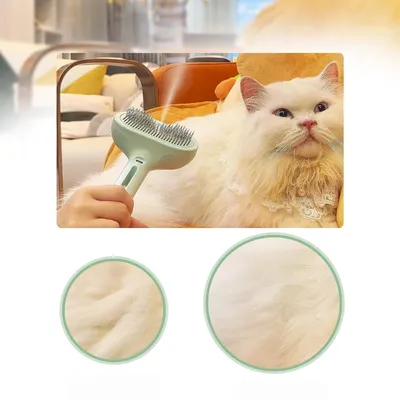 Zoomtopia Brosse de toilettage à vapeur pour chat avec spray antistatique