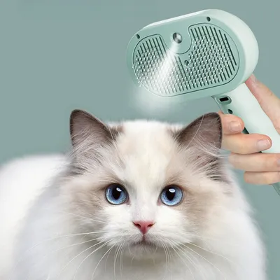Zoomtopia Brosse de toilettage à vapeur pour chat avec spray antistatique