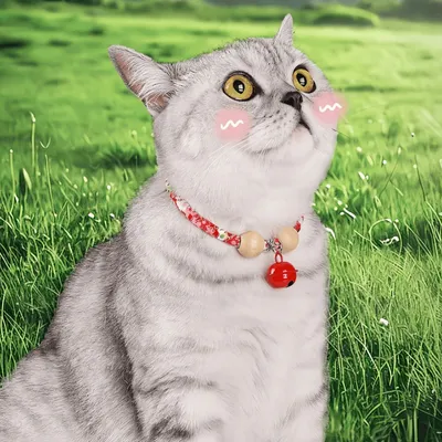 Pawzy Collier vermifuge pour chat