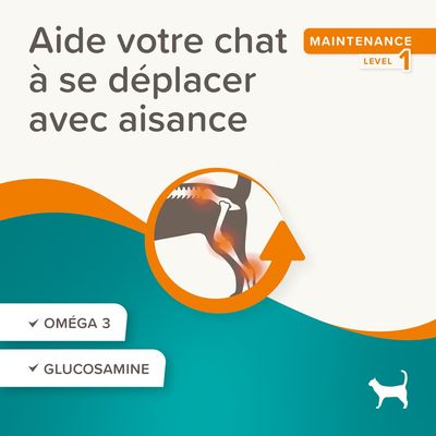 BEAPHAR   Flexifit Friandises Chat - Articulations