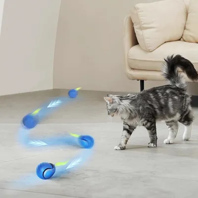 Zoomtopia Jouet interactif pour chat