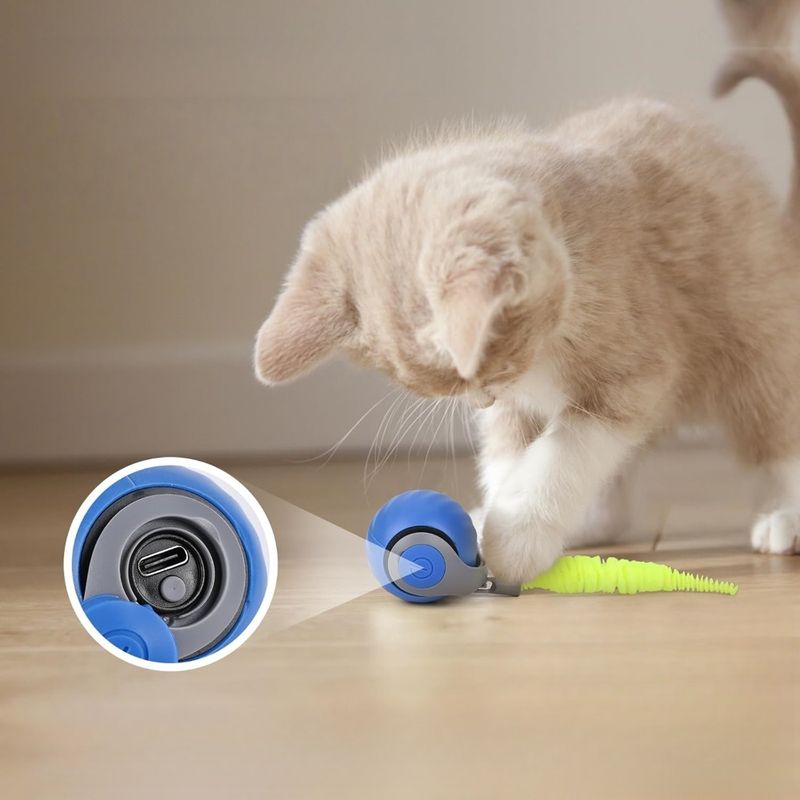 Zoomtopia Jouet interactif pour chat