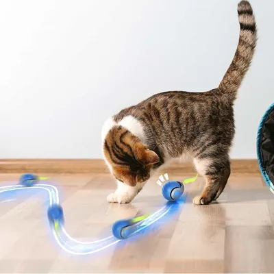 Zoomtopia Jouet interactif pour chat