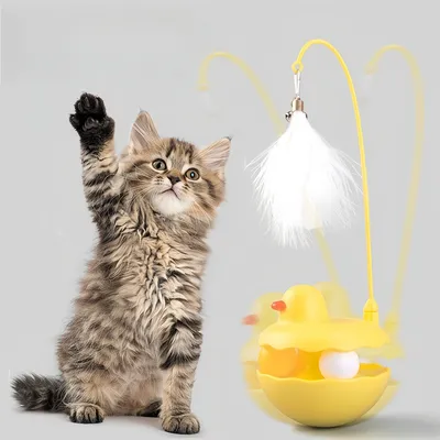 Pawzy Jouet toupie pour chat Chats applicables