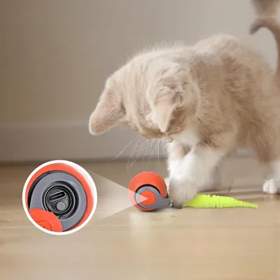 Zoomtopia Jouet interactif pour chat