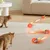 Zoomtopia Jouet interactif pour chat