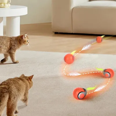 Zoomtopia Jouet interactif pour chat