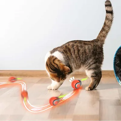 Zoomtopia Jouet interactif pour chat