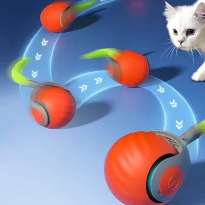 Zoomtopia Jouet interactif pour chat