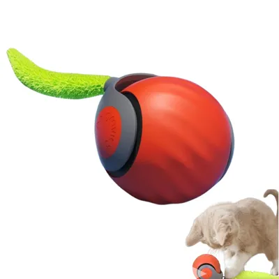 Zoomtopia Jouet interactif pour chat