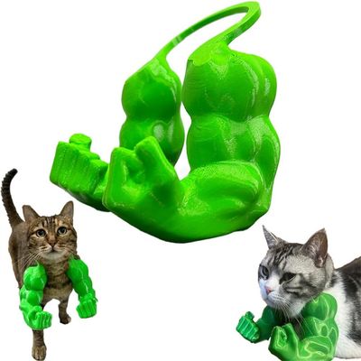 Pawzy Bras musculaires pour chats Bleu