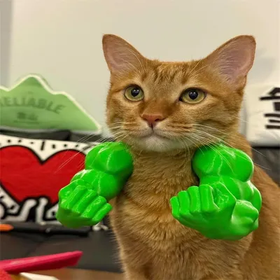 Pawzy Bras musculaires pour chats Vert