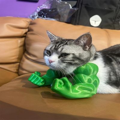 Pawzy Bras musculaires pour chats Vert