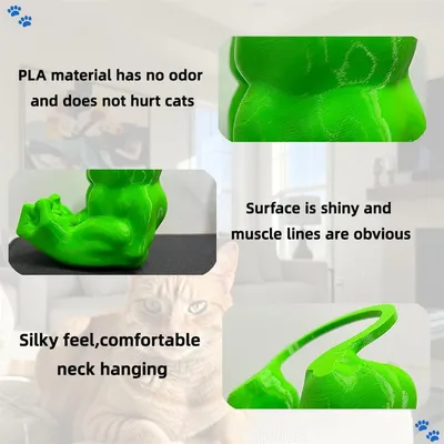 Pawzy Bras musculaires pour chats Vert