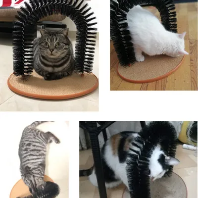 Zoomtopia Brosse de massage pour chat à poils arqués