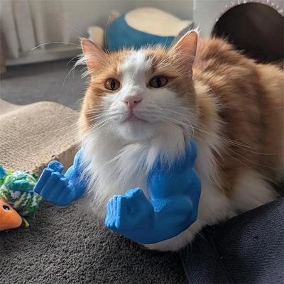 Pawzy Bras musculaires pour chats Bleu