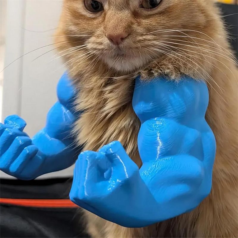 Pawzy Bras musculaires pour chats Bleu
