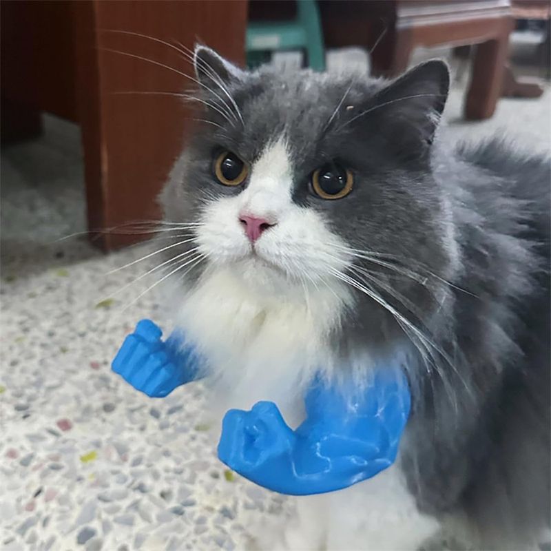 Pawzy Bras musculaires pour chats Bleu