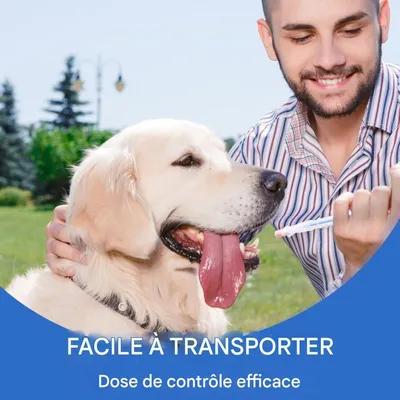 ZooVenture Distributeur de pilules pour chiens et chats