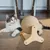 Pawzy Grattoir - balle pour chat