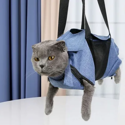ZooVenture Hamac de toilettage pour chiens et chats