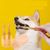 Zoomtopia Brosse à dents pour chien avec gratte - langue