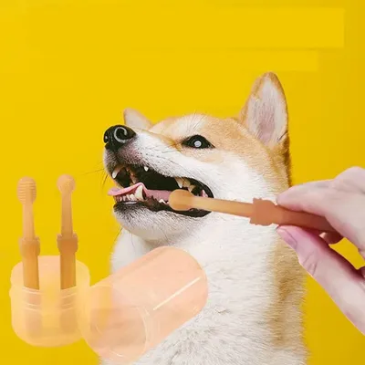 Zoomtopia Brosse à dents pour chien avec gratte - langue