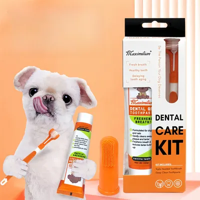 Pawzy Dentifrice et brosse à dents pour chien et chat