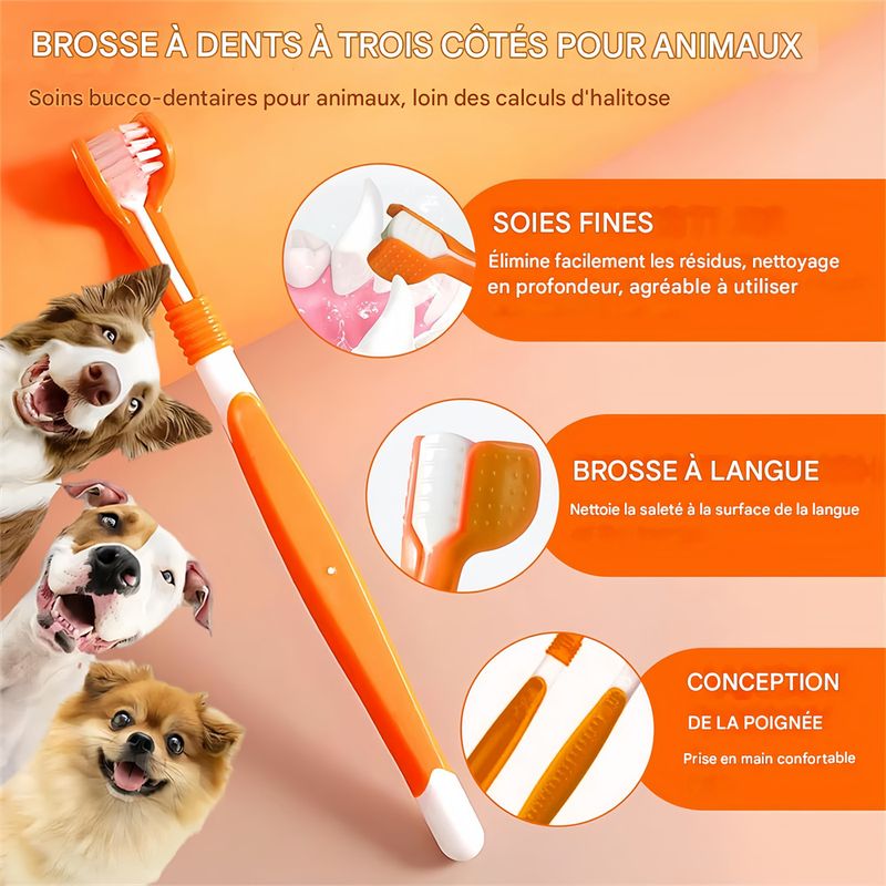 Pawzy Dentifrice et brosse à dents pour chien et chat