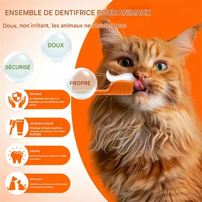 Pawzy Dentifrice et brosse à dents pour chien et chat