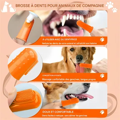 Pawzy Dentifrice et brosse à dents pour chien et chat