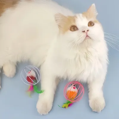 Zoomtopia Jouet pour chat (avec souris)