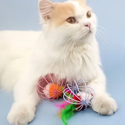 Zoomtopia Jouet pour chat (avec souris)