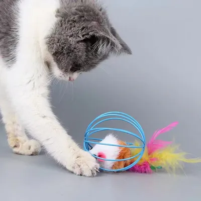 Zoomtopia Jouet pour chat (avec souris)