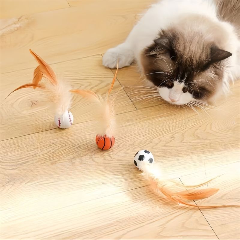 Pawzy Balade interactive pour chat : Plumes et caoutchouc