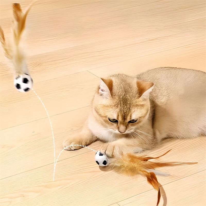 Pawzy Balade interactive pour chat : Plumes et caoutchouc