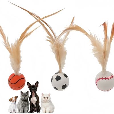 Pawzy Balade interactive pour chat : Plumes et caoutchouc