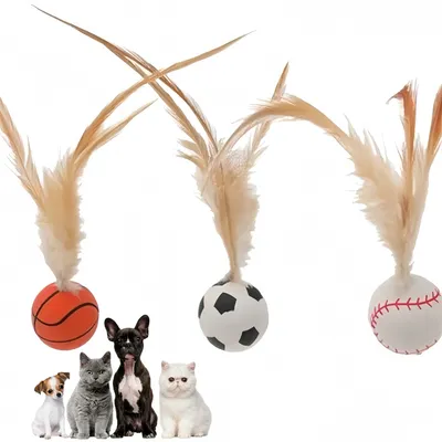 Pawzy Balade interactive pour chat : Plumes et caoutchouc