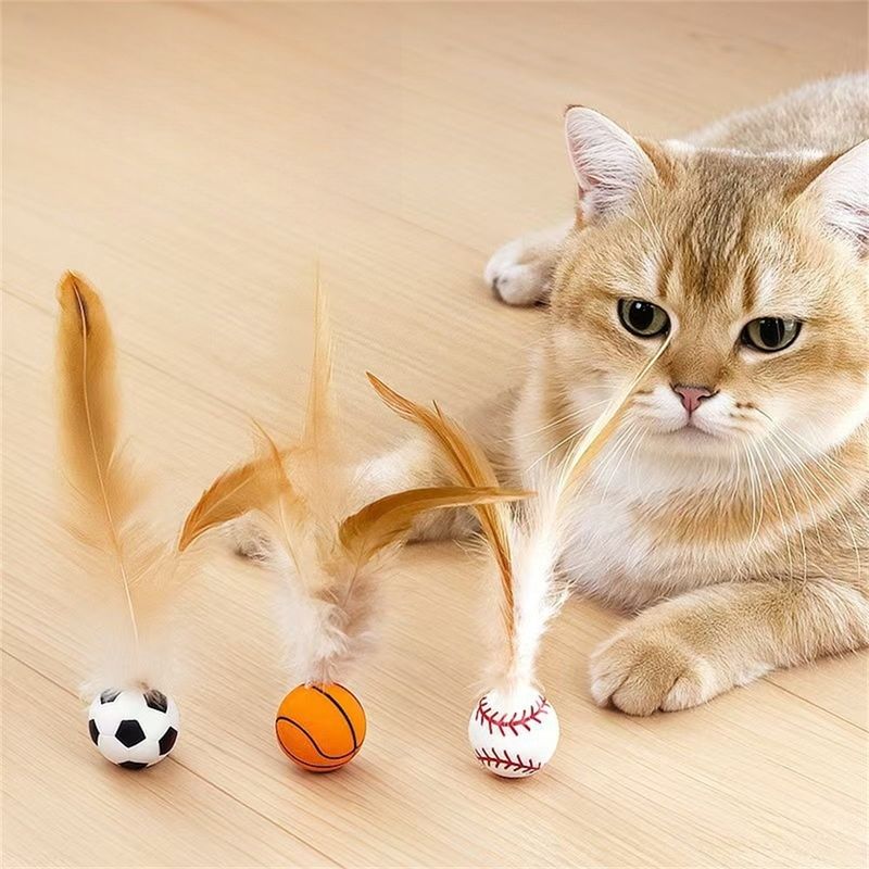 Pawzy Balade interactive pour chat : Plumes et caoutchouc