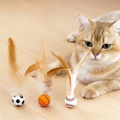 Pawzy Balade interactive pour chat : Plumes et caoutchouc