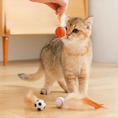 Pawzy Balade interactive pour chat : Plumes et caoutchouc
