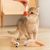 Pawzy Balade interactive pour chat : Plumes et caoutchouc