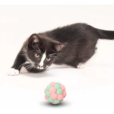Pawzy Kit 6 balles interactives pour chat