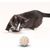 Pawzy Kit 6 balles interactives pour chat