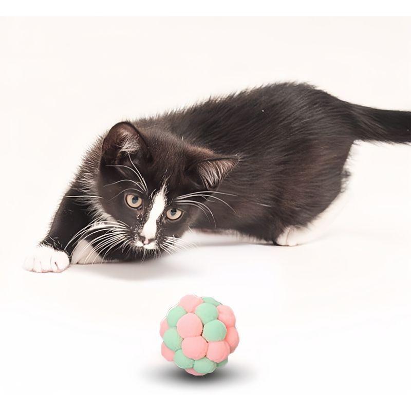 Pawzy Kit 6 balles interactives pour chat