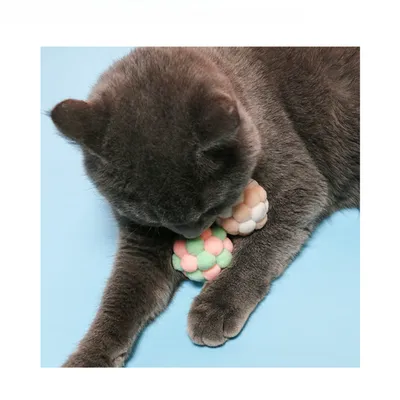 Pawzy Kit 6 balles interactives pour chat